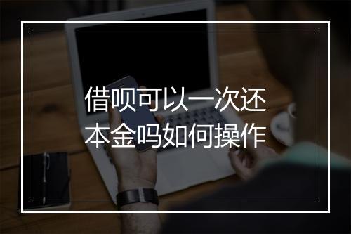 借呗可以一次还本金吗如何操作
