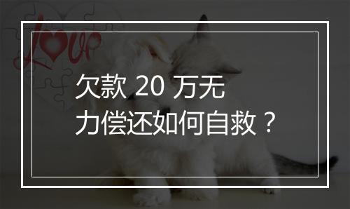 欠款 20 万无力偿还如何自救？