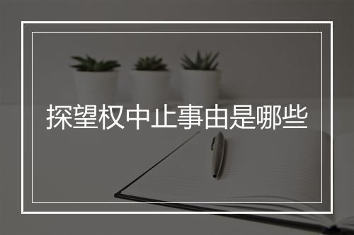 探望权中止事由是哪些