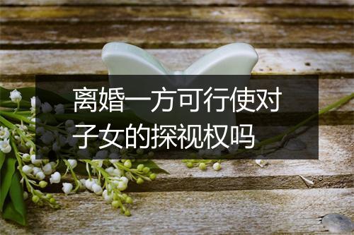 离婚一方可行使对子女的探视权吗