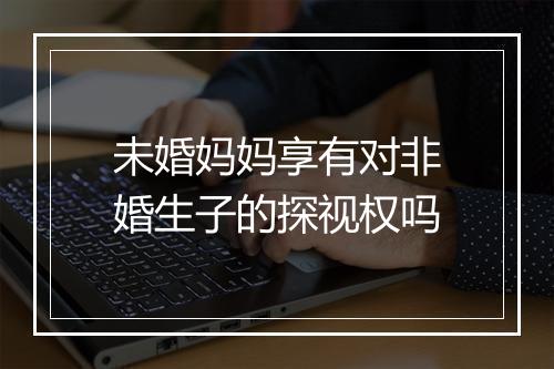未婚妈妈享有对非婚生子的探视权吗