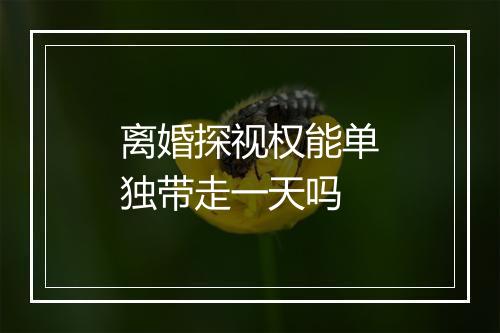 离婚探视权能单独带走一天吗