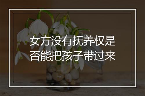 女方没有抚养权是否能把孩子带过来