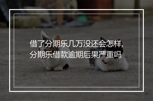 借了分期乐几万没还会怎样,分期乐借款逾期后果严重吗