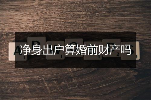 净身出户算婚前财产吗