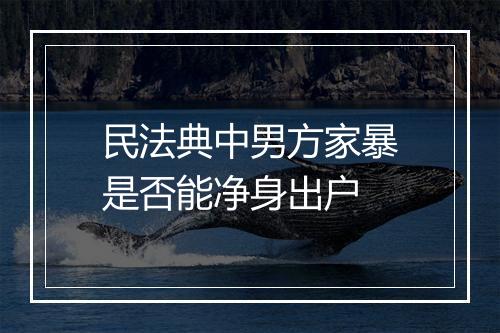 民法典中男方家暴是否能净身出户