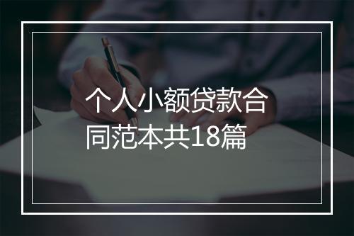 个人小额贷款合同范本共18篇