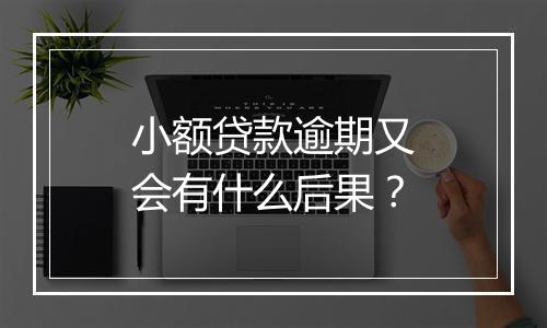 小额贷款逾期又会有什么后果？
