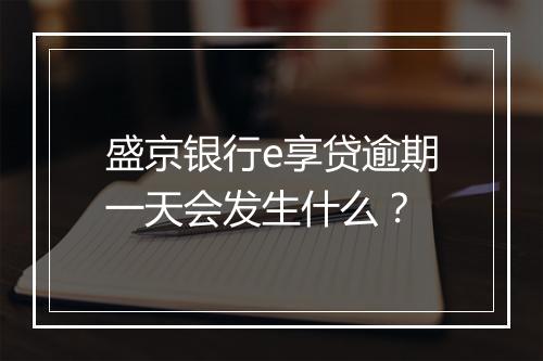 盛京银行e享贷逾期一天会发生什么？