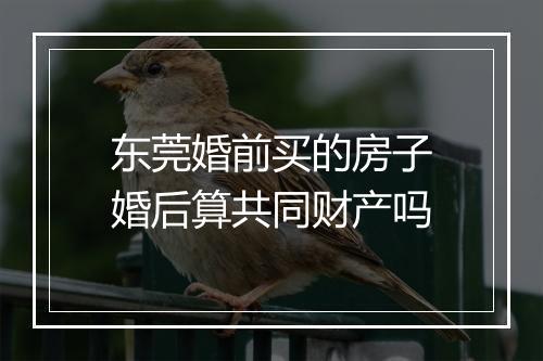 东莞婚前买的房子婚后算共同财产吗