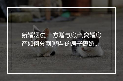 新婚姻法,一方赠与房产,离婚房产如何分割(赠与的房子离婚后会怎么判)