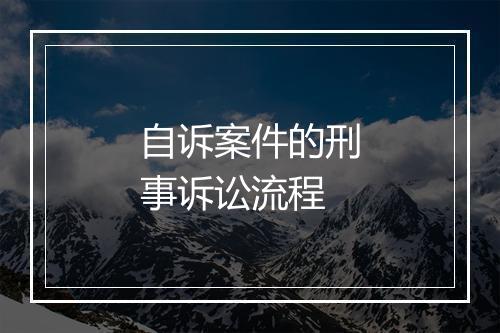 自诉案件的刑事诉讼流程