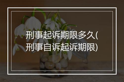 刑事起诉期限多久(刑事自诉起诉期限)