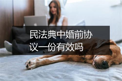 民法典中婚前协议一份有效吗