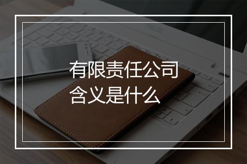 有限责任公司含义是什么