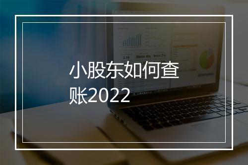 小股东如何查账2022