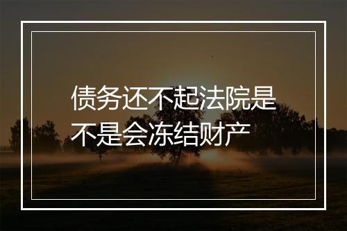 债务还不起法院是不是会冻结财产