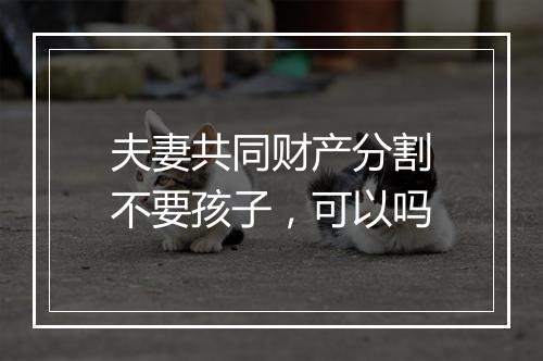 夫妻共同财产分割不要孩子，可以吗