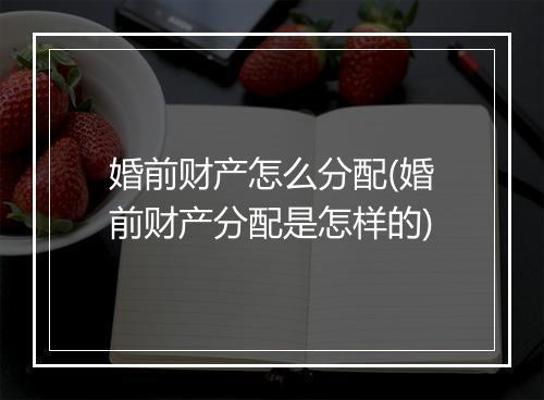 婚前财产怎么分配(婚前财产分配是怎样的)
