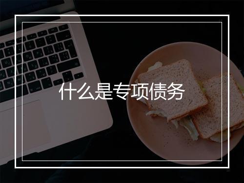 什么是专项债务