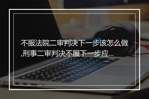 不服法院二审判决下一步该怎么做,刑事二审判决不服下一步应该怎么办