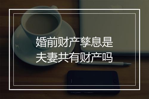 婚前财产孳息是夫妻共有财产吗