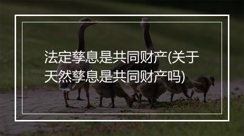 法定孳息是共同财产(关于天然孳息是共同财产吗)
