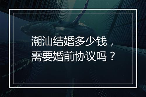 潮汕结婚多少钱，需要婚前协议吗？