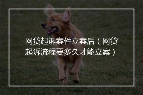 网贷起诉案件立案后（网贷起诉流程要多久才能立案）