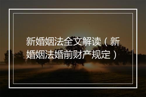 新婚姻法全文解读（新婚姻法婚前财产规定）