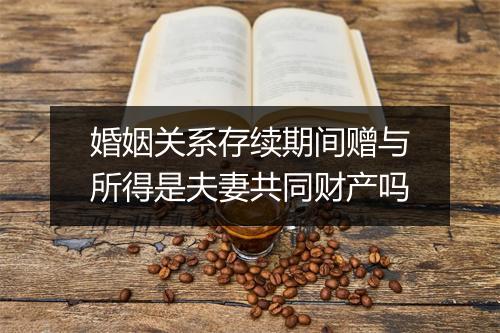 婚姻关系存续期间赠与所得是夫妻共同财产吗