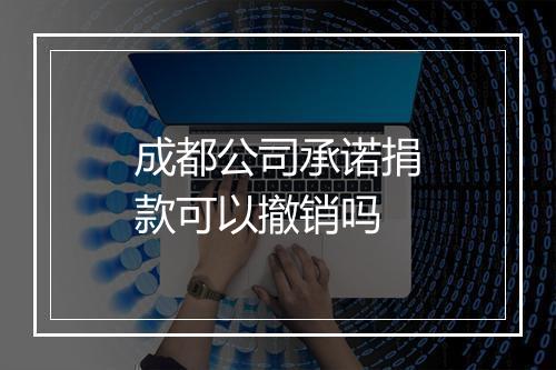 成都公司承诺捐款可以撤销吗