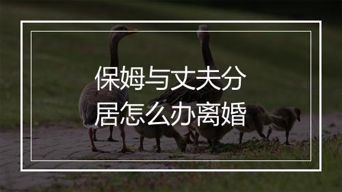 保姆与丈夫分居怎么办离婚
