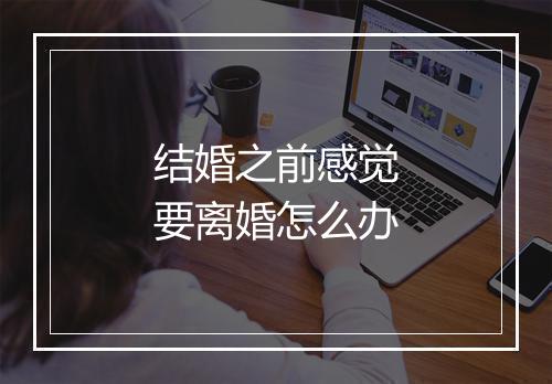 结婚之前感觉要离婚怎么办