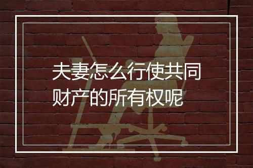 夫妻怎么行使共同财产的所有权呢