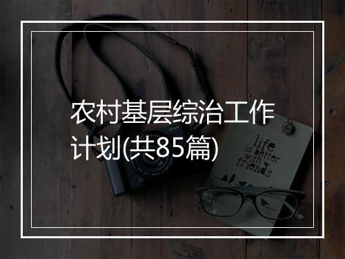 农村基层综治工作计划(共85篇)