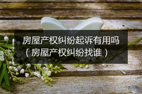 房屋产权纠纷起诉有用吗（房屋产权纠纷找谁）