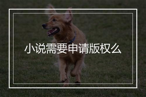 小说需要申请版权么