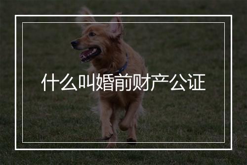 什么叫婚前财产公证