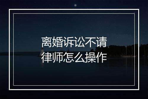 离婚诉讼不请律师怎么操作