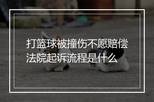 打篮球被撞伤不愿赔偿法院起诉流程是什么