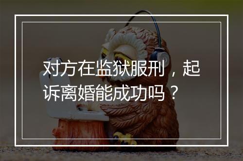 对方在监狱服刑，起诉离婚能成功吗？