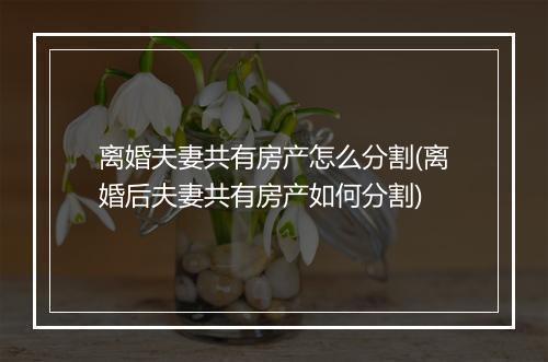 离婚夫妻共有房产怎么分割(离婚后夫妻共有房产如何分割)