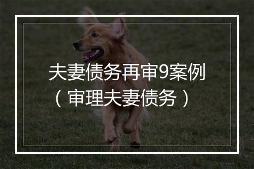 夫妻债务再审9案例（审理夫妻债务）