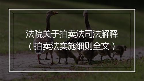 法院关于拍卖法司法解释（拍卖法实施细则全文）