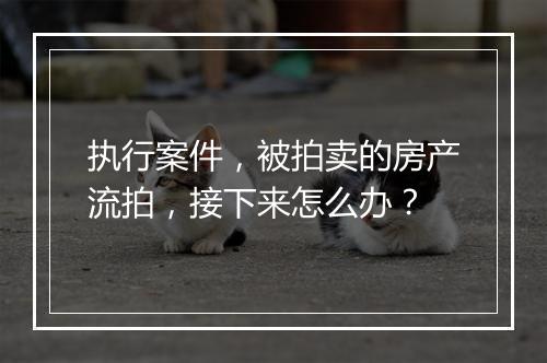 执行案件，被拍卖的房产流拍，接下来怎么办？