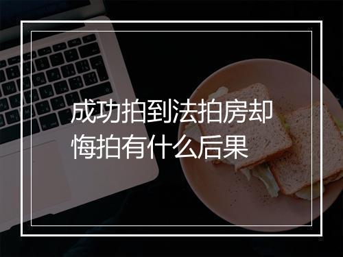 成功拍到法拍房却悔拍有什么后果