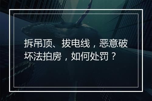 拆吊顶、拔电线，恶意破坏法拍房，如何处罚？