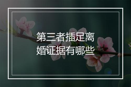 第三者插足离婚证据有哪些