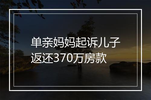 单亲妈妈起诉儿子返还370万房款